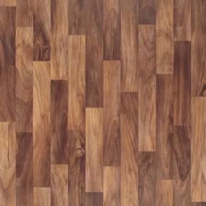 #CHS213 2303 LION.png