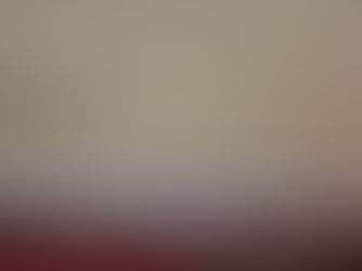 30% Off Mold Assessments