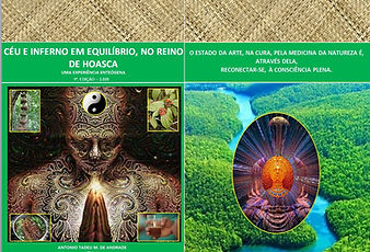 Capa e Contra Capa.jpg