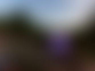 Newfields Summer Nights Film Series