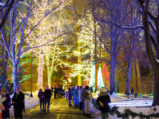 Winterlights Indianapolis LGBTQ