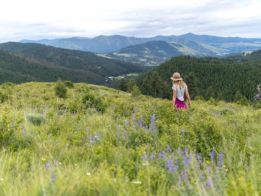Missoula Montana LGBTQ