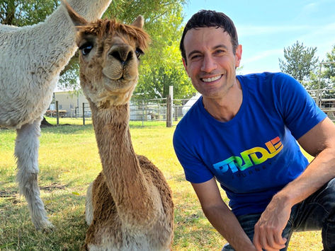Walla Walla: Wine, Alpacas, and a Little Bit of Heavy Metal