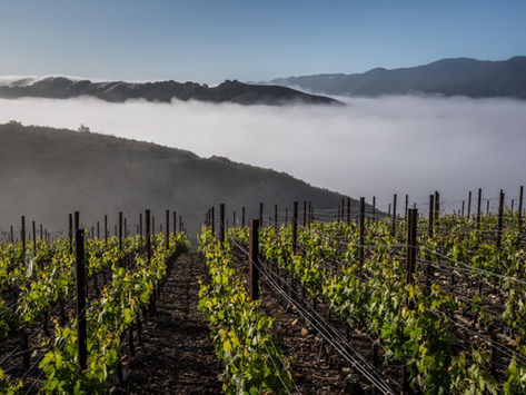 Santa Ynez Valley