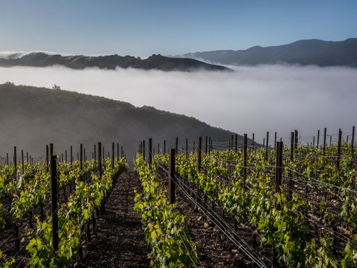 Santa Ynez Valley