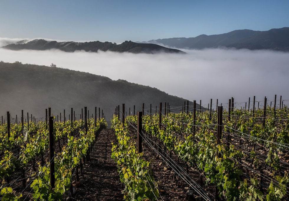 Santa Ynez Valley