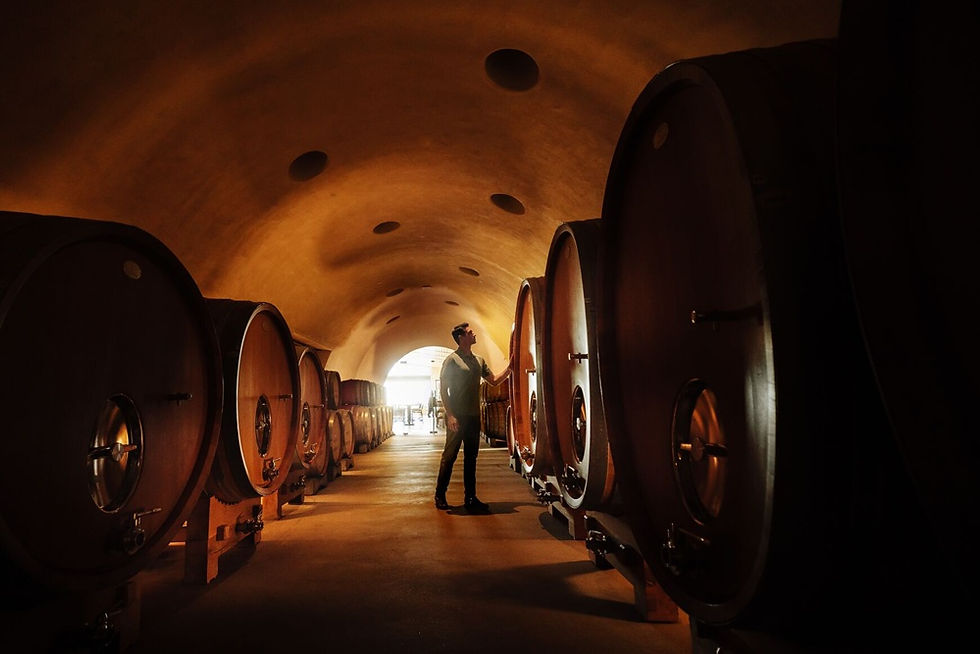 Presquile Winery by Jared Dillingham