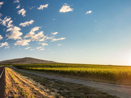 Pacific Northwest Pride Journeys LGBTQ