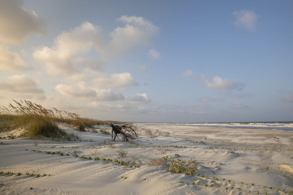 Georgia’s Best Trips for 2021