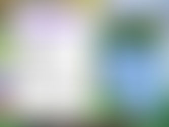 Johnson County Garden Celebration