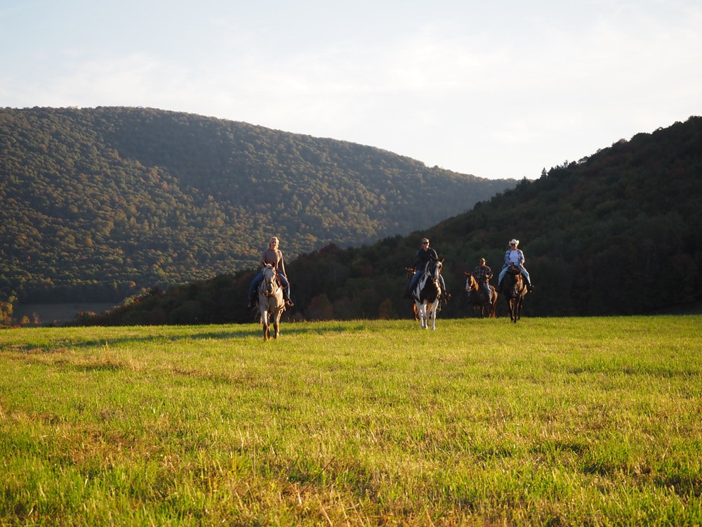 Spring in the Catskills: A Scenic Delaware County Getaway from New York ...