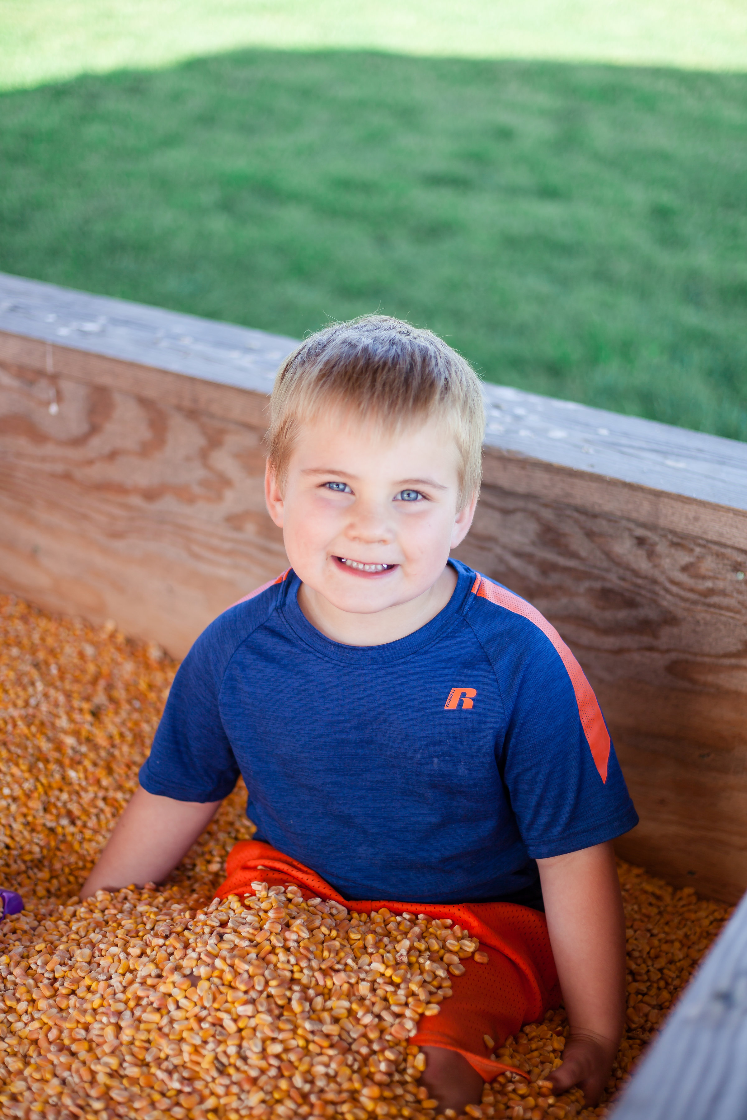 alpha omega corn maze alpha omega corn maze