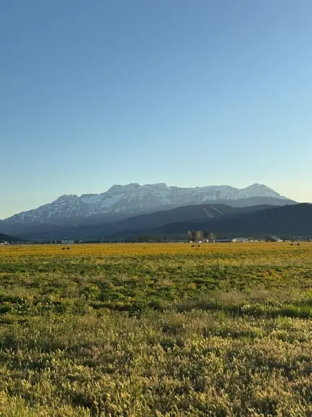 heber creeper img.webp