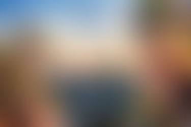 View of the Liberty Bridge in Budapest with blooming trees