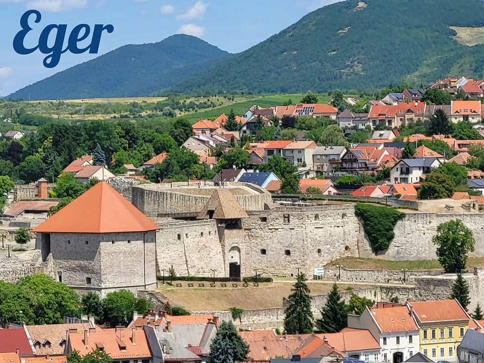 The view of Eger Castle and the surrounding area