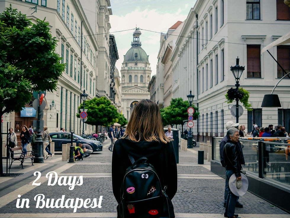 Tourist admiring the St. Stephen's Basilica in Downtown Budapest