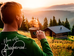 Explora la variedad de productos de café de alta calidad