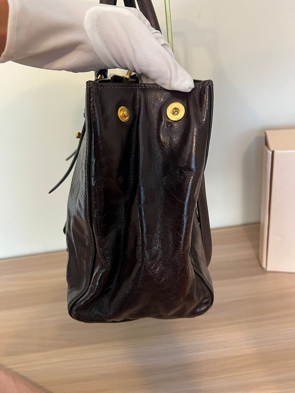 Thumbnail: Miu Miu Vitello Shine Bag