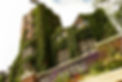 Photo of the Michigan Union, a an academic building with vines growing on it