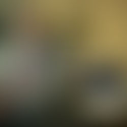 Jack Bogle: 10 Mistakes Every Investor Makes