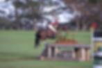 Dani Marwood 2
