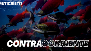 ¡Contracorriente!