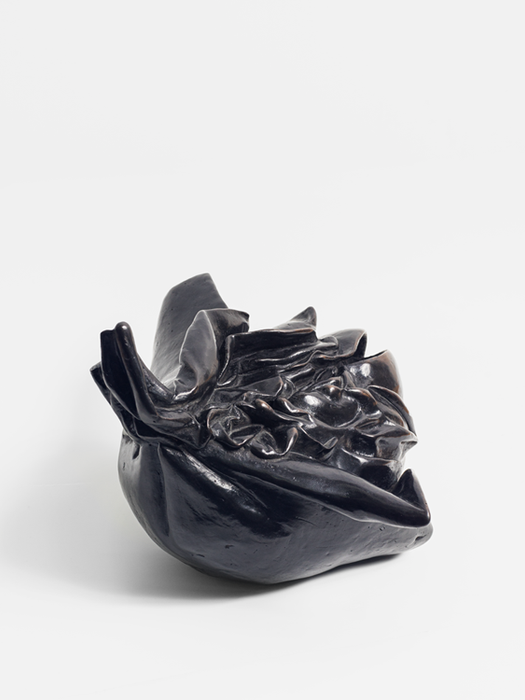 16_2_Cattleya_2020_24x28x30_Bronze_FotoGeorg Brueckmann2.png