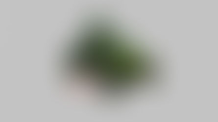 GORILLAZ DESDE LOS OJOS DE UN FAN