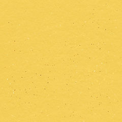 WhatsApp Image 2021-10-07 at 9.44.02 AM (2).jpeg