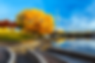 Picture (3).png