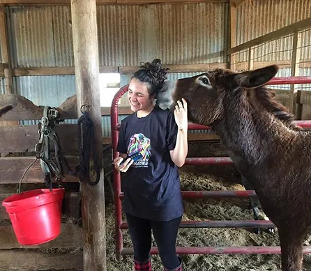 Dreamtime Sanctuary 3 a1198d 860fa9cb4e2a4187b341e6ffef44704a~mv2