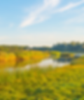 Wetland landscape within the Winnipeg Metropolitan Region, highlighting the natural environment and ecological areas that sup