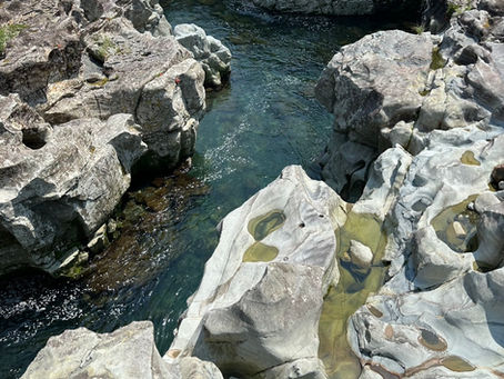 清流古座川水系小川