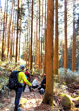 LINE_ALBUM_25115_16雲取越え_250523_1_edited.jpg