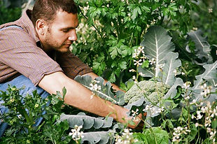 Volunteer as a gardener with Togean Conservation Foundation