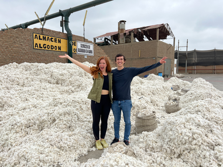 Why are fashion brands failing at sustainability and social impact? Common mistakes and how to prevent them, with THR3EFOLD