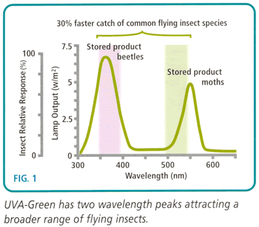 lamp_diagram1_big_large.gif