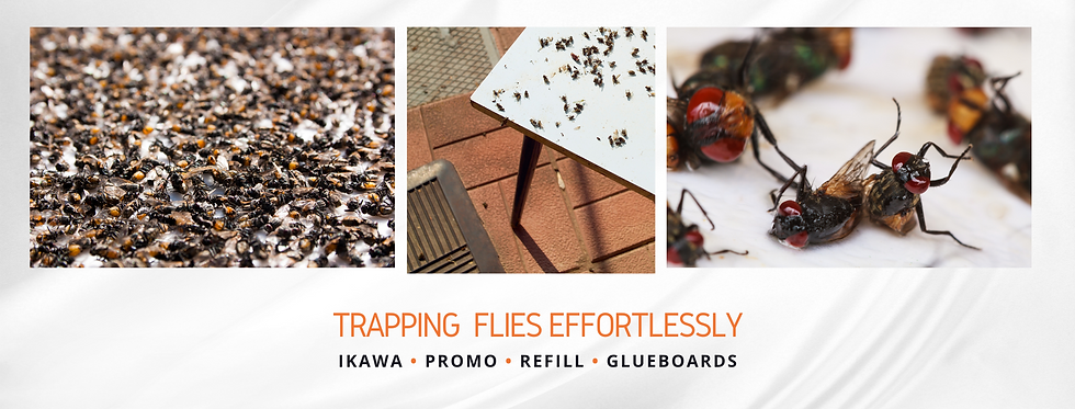 Thumbnail: A slim rectangular adhesive trap board with a solid black surface (120 mm wide by 430 mm long). The board is uniformly coated