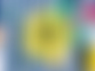 S A F E S U N 101 *2019 Update*