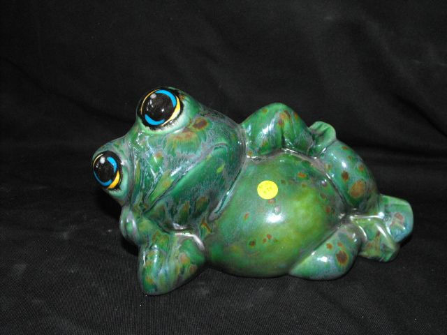Plain Frog relaxing