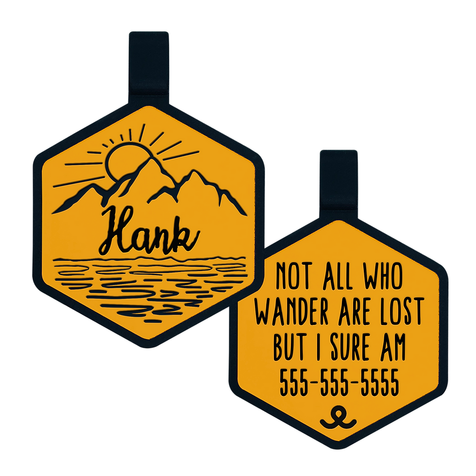 Thumbnail: Lake Sunrise Silicone Tag