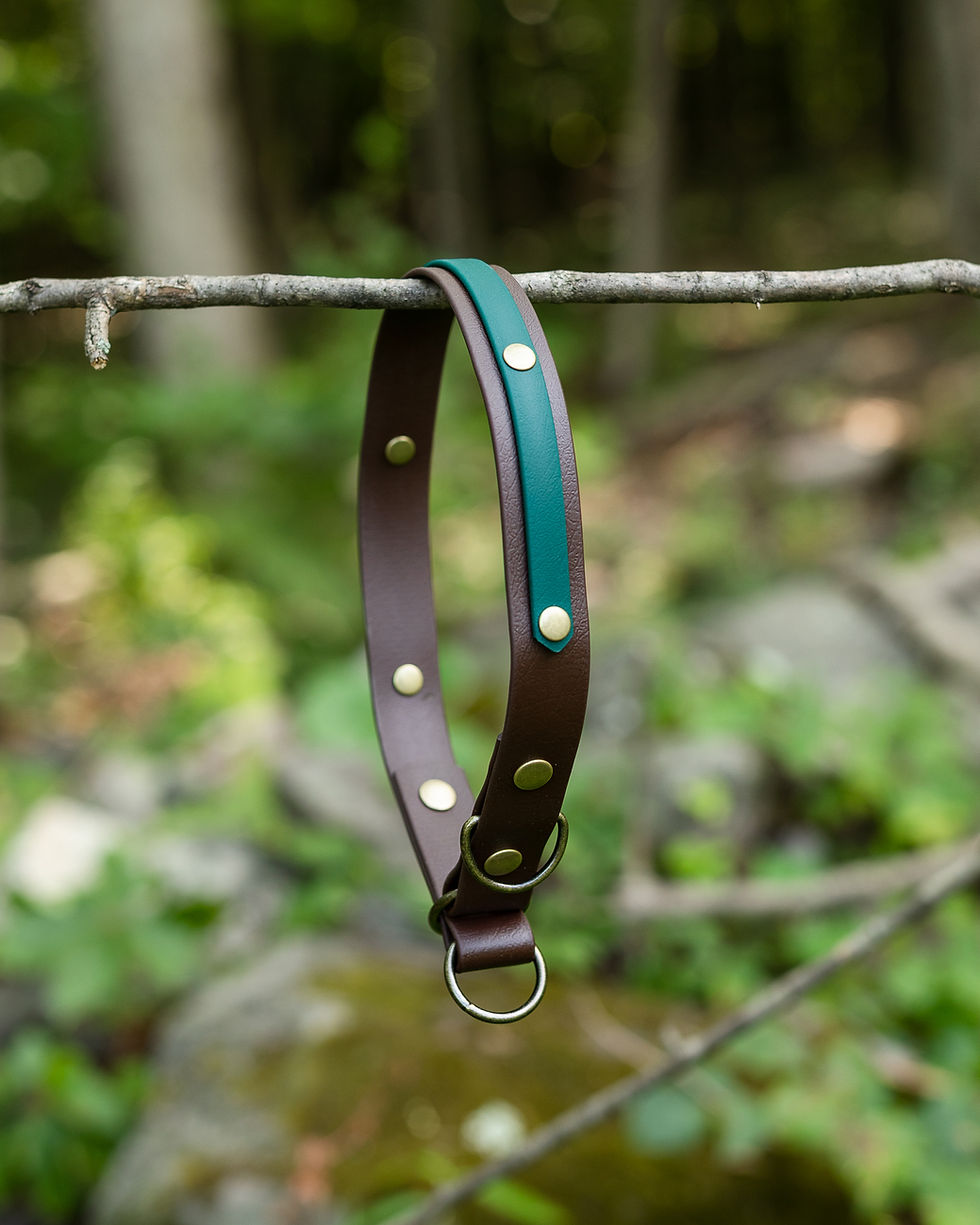 Thumbnail: 1" Teton Collar