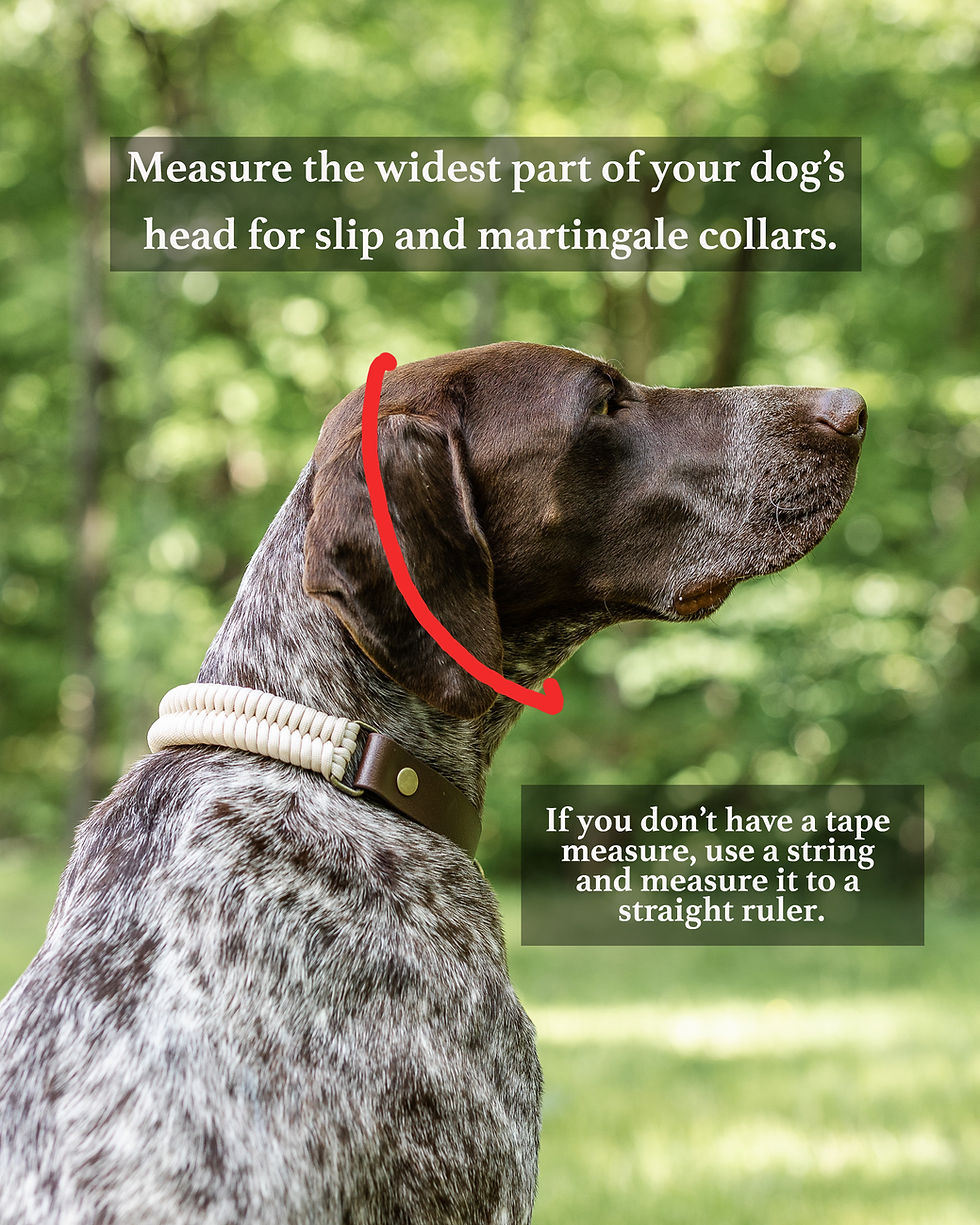 Thumbnail: 1" Teton Collar