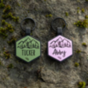 Mountain Forest Silicone Tag