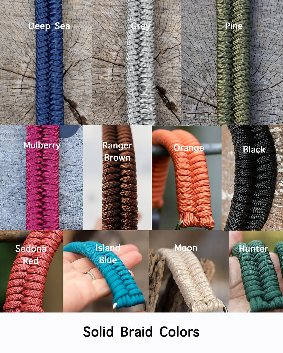 Thumbnail: Braided Buckle Collar
