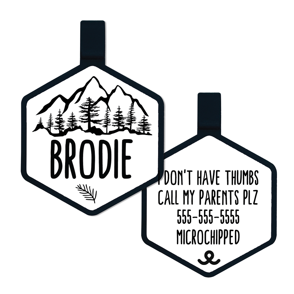 Thumbnail: Mountain Forest Silicone Tag