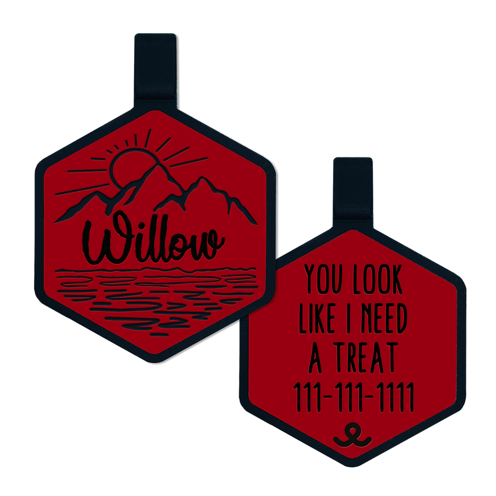 Thumbnail: Lake Sunrise Silicone Tag