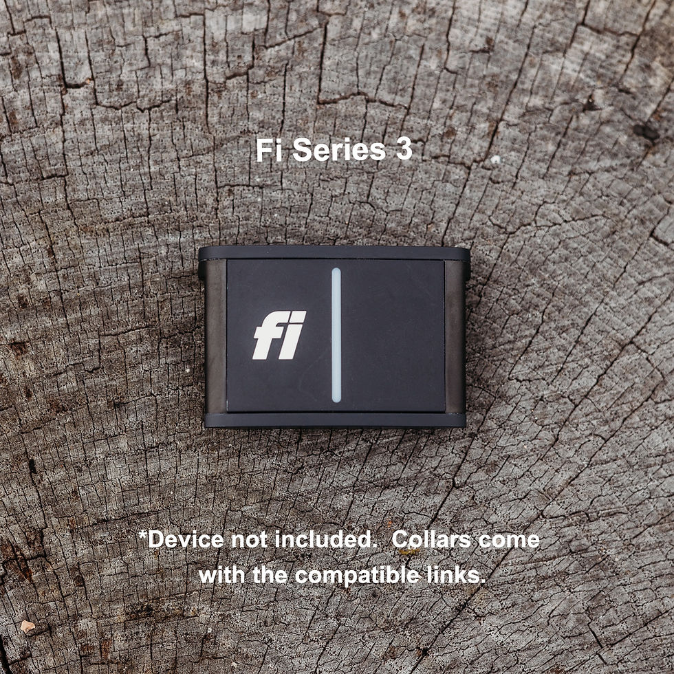 Thumbnail: Fi Biothane Collar