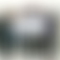 Wesdome Gold Mines support the healthcare of their employees and families