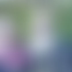 No Tricks, All Treats! Debbie Taanman Wins $82,437.50 in October SAHF 50/50 Draw